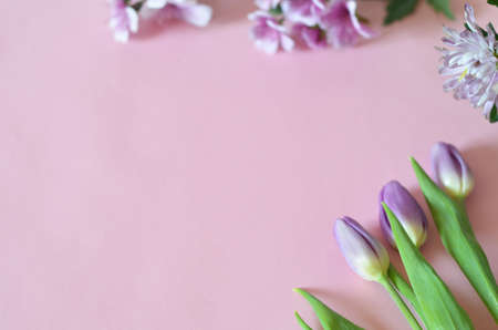 purple and lilac flowers and tulips on a pink background. spring, summer concept, background for cards and cosmetics.の写真素材