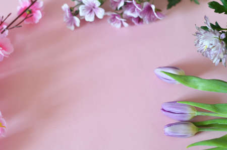 purple and lilac flowers and tulips on a pink background. spring, summer concept, background for cards and cosmetics.の写真素材