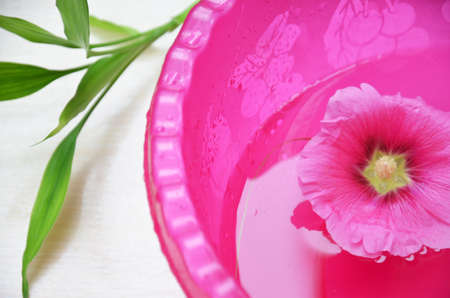 background of a spa with pink flower on water in a basin and a sprig of green bamboo.