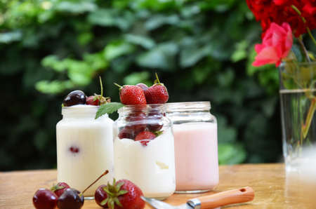 Healthy breakfast home made pudding or yogurt or granola, strawberries, cherry, honeysuckle berry, nuts and yogurt. Vegetarian keto food. Top view pudding or cocktail on background of green foliage.の写真素材