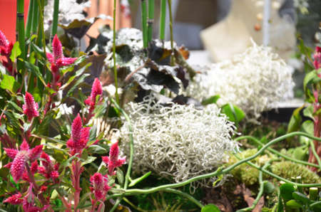 Floral shop concept Florist creates flower in a wicker basket. Beautiful bouquet mixed flowers....