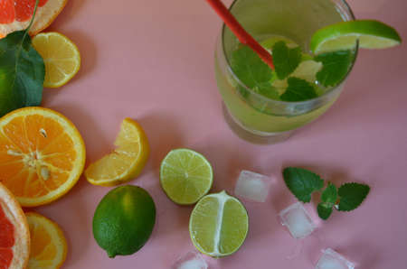 Fresh cocktail drinks with ice fruit line and herb mint decoration. Alcoholic non-alcoholic...