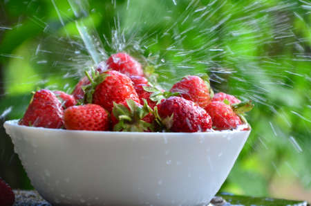 Bowl of organic strawberry in the sink under running water.の写真素材
