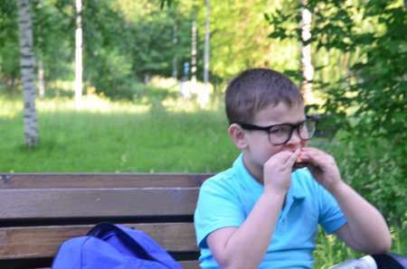 scholl boy Adorable little boy sitting on the bench with lunchbox in park. Healthy food and snacks for kids. Child eating his breakfast or lunch outdoors.の写真素材