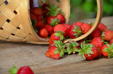 Ripe strawberries with leaves in wicker basket on wooden table on blurred backgroundの写真素材