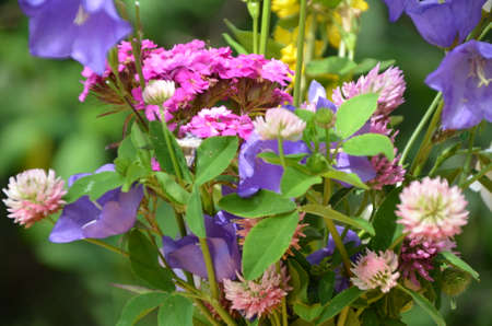 beautiful bouquet of bright flowers on a meadow against a background of green foliage.の写真素材