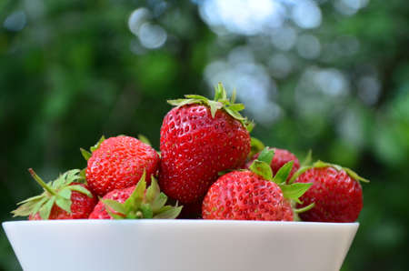 resh strawberries in bowl natural backgroundの写真素材