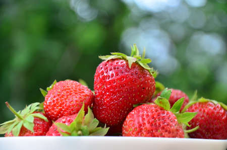 resh strawberries in bowl natural backgroundの写真素材