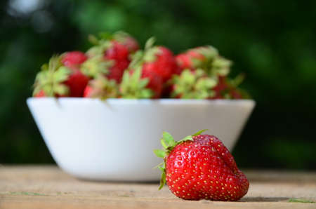 resh strawberries in bowl natural backgroundの写真素材