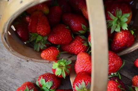 Ripe strawberries with leaves in wicker basket on wooden table on blurred backgroundの写真素材