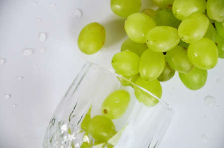 white grapes in a wine glass. White wine in a glass with fall grapes, white background, selective focusの写真素材