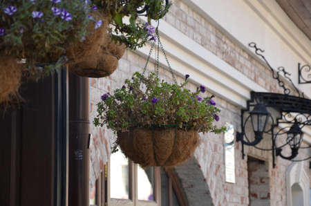 A basket of bright pink and red flowers hangs on the window of a home in an ancient building in France, surrounded by beautiful patterns in the stone wall.の写真素材
