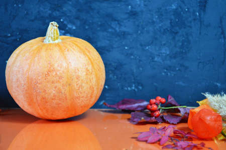 Thanksgiving background: Apples, pumpkins and fallen leaves on orange background. Copy space for text. Halloween, Thanksgiving day or seasonal autumnal. Design mock up. Horizontalの写真素材