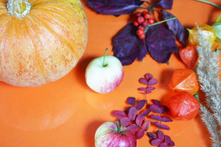 Thanksgiving background: Apples, pumpkins and fallen leaves on orange background. Copy space for text. Halloween, Thanksgiving day or seasonal autumnal. Design mock up. Horizontalの写真素材