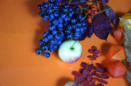 Thanksgiving background: Apples, pumpkins and fallen leaves on orange background. Copy space for text. Halloween, Thanksgiving day or seasonal autumnal. Design mock up. Horizontalの写真素材