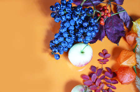 Thanksgiving background: Apples, pumpkins and fallen leaves on orange background. Copy space for text. Halloween, Thanksgiving day or seasonal autumnal. Design mock up. Horizontalの写真素材