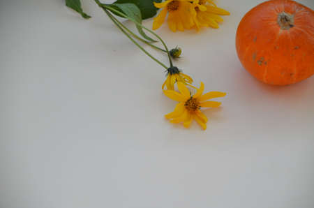 Creative Top view flat lay autumn composition. pumpkins yellow flowers background copy space. Template fall harvest thanksgiving halloween anniversary Thanksgiving Day invitation cardsの写真素材