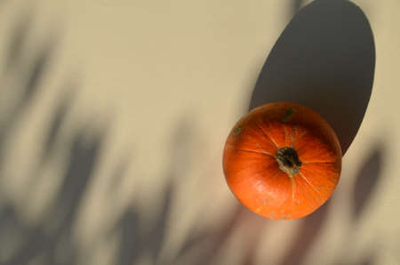 fresh orange pumpkin on a light yellow or orange background. autumn, harvest, thanksgiving or Hallowenの写真素材