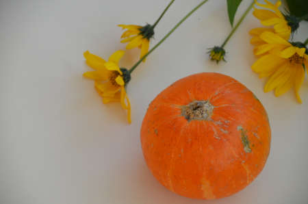 Creative Top view flat lay autumn composition. pumpkins yellow flowers background copy space. Template fall harvest thanksgiving halloween anniversary Thanksgiving Day invitation cardsの写真素材