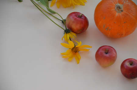 Creative Top view flat lay autumn composition. pumpkins yellow flowers with fruit, red apples background copy space. Template fall harvest thanksgiving halloween anniversary Thanksgiving Day invitation cards.の写真素材