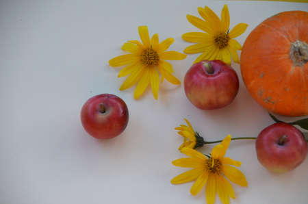 Creative Top view flat lay autumn composition. pumpkins yellow flowers with fruit, red apples background copy space. Template fall harvest thanksgiving halloween anniversary Thanksgiving Day invitation cards.の写真素材