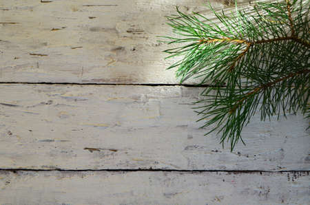 Merry Christmas and Happy New Year a branch of a Christmas tree with cones in the snow on a white wooden background with red berries then view flat lay copy spaceの写真素材
