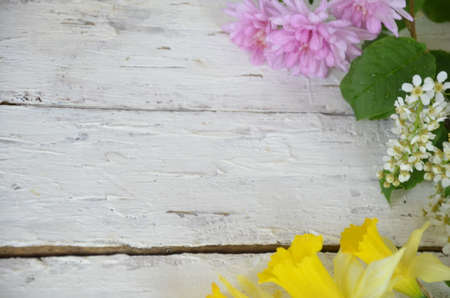 spring white and lilac or purple flowers on wooden white background and yellow daffodils. background for spring holidays. mothers day, easterの写真素材