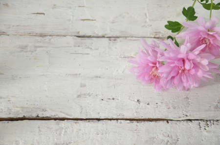 spring white and lilac or purple flowers on wooden white background and yellow daffodils. background for spring holidays. mothers day, easterの写真素材