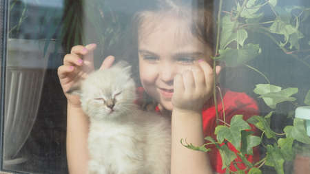 Beautiful little girl smiling and watching out the window. A child looks out the window. Portrait of cheerful kid. self distancing at home during Corona virus. Quarantine Covid-19 World Pandemic.の写真素材