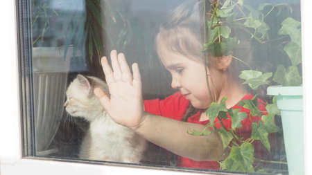 Beautiful little girl smiling and watching out the window. A child looks out the window. Portrait of cheerful kid. self distancing at home during Corona virus. Quarantine Covid-19 World Pandemic.の写真素材