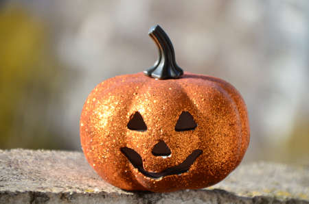 halloween jack lantern pumpkin on autumn leaves against the dark night sky at sunsetの写真素材