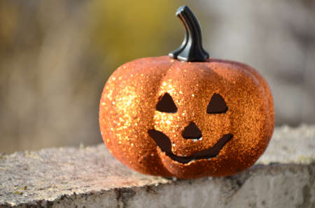 halloween jack lantern pumpkin on autumn leaves against the dark night sky at sunsetの写真素材