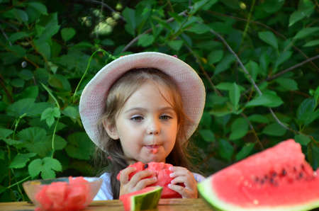 Funny portrait of an incredibly beautiful little girl eating watermelon, healthy fruit snack, adorable toddler child with curly hair playing in a sunny garden on a hot summer day. portraitの写真素材