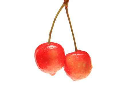Two moist ripe white merrys isolated