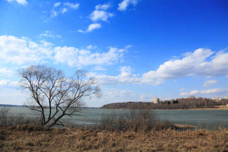 Beginning of spring. Snow has already thawn, and ice on lake still is not present. Plants have not woken up yet from hibernationの写真素材