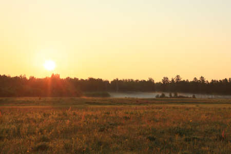 early summer morning in Transbaikalia. Russiaの写真素材
