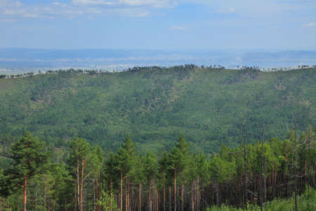 mountains covered with forest. In the background, the city of Chita. siberia, transbaikaliaの写真素材