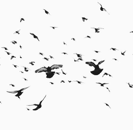 Heavenly pixelsの写真素材