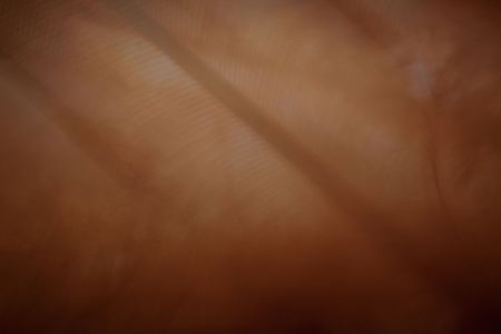 Bright abstractionの写真素材