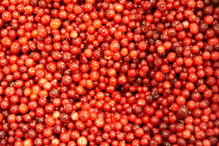 Ripe fresh cranberries backgroundの写真素材