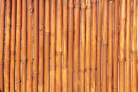 Closeup natural bamboo fence as horizontal backgroundの写真素材