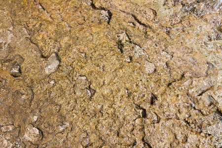 Part of wet rock closeup for backgroundの写真素材