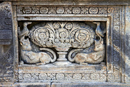 Bass-relief on the wall in Borobudur Buddhist temple, Indonesia, Javaの写真素材