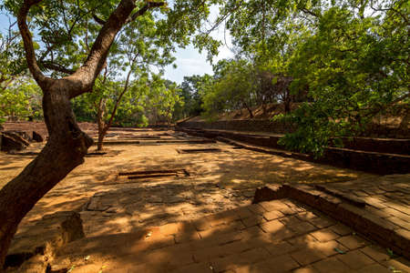 Gardens of Sigiriya Lionの写真素材