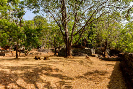 Gardens of Sigiriya Lionの写真素材