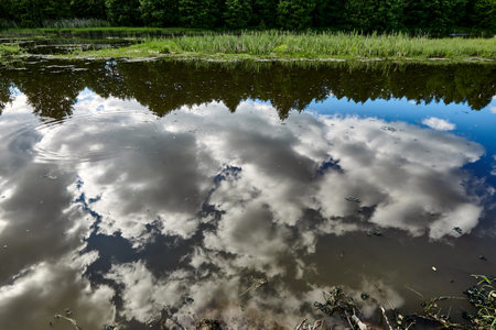 Beautiful summer landscape of the river at sunny day with sky and clouds reflection in the water
