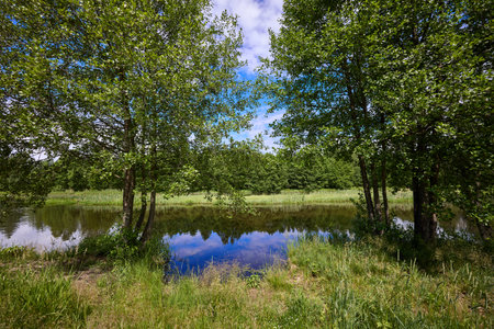 Beautiful summer landscape of river at sunny day with sky and clouds reflection in the waterの写真素材