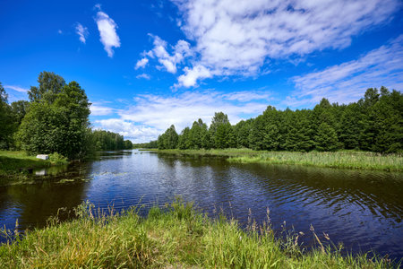 Beautiful summer landscape of river at sunny day with sky and clouds reflection in the waterの写真素材