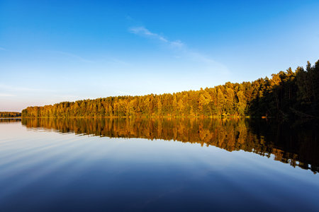A serene river mirrors the golden hues of trees on a clear autumn day, showcasing natureâs symmetryの写真素材