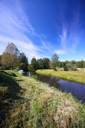 A tranquil riverbank under a clear blue sky, edged by vibrant green foliage and calm watersの写真素材